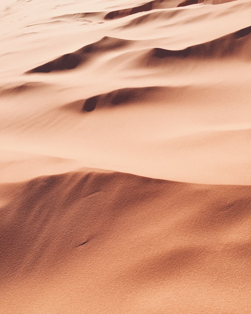 Çöl Safarisi Planlamanın İncelikleri: Sahara vs Gobi