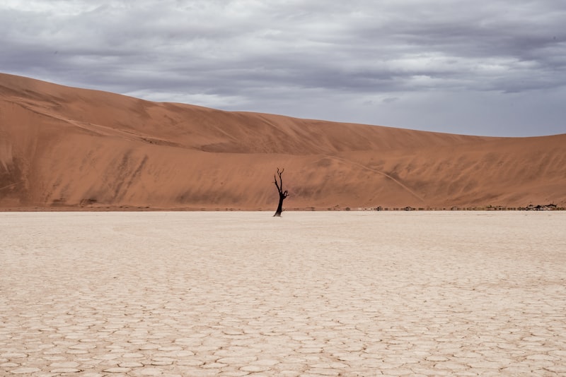 Çöl Safarisi Planlamanın İncelikleri: Sahara vs Gobi